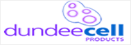 bexion logo