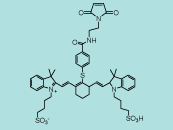 Cyanine Dye