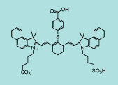 Cyanine Dye