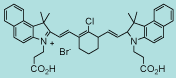 Cyanine Dye