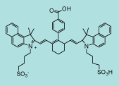 Cyanine Dye